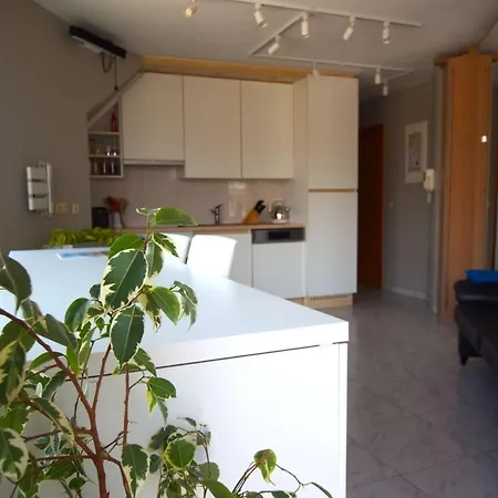 Apartment 200M From The Sea - Parking Available Koksijde