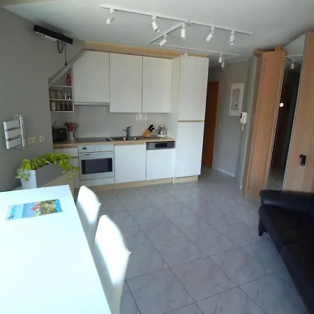 Apartment 200m From The Sea - Parking Included Koksijde